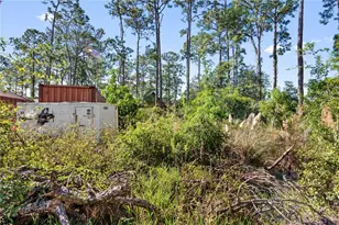 1104 Hyacinth Ave, Sebring, FL 33875 - Photo 47