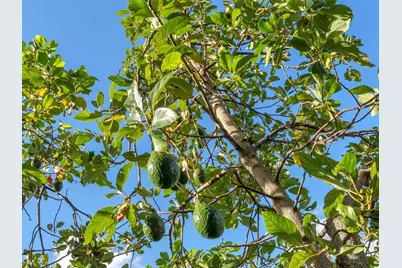 302 NW 120th Dr, Coral Springs, FL 33071 - Photo 51