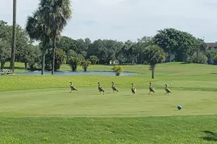 12501 SW 14th St, Pembroke Pines, FL 33027 - Photo 31