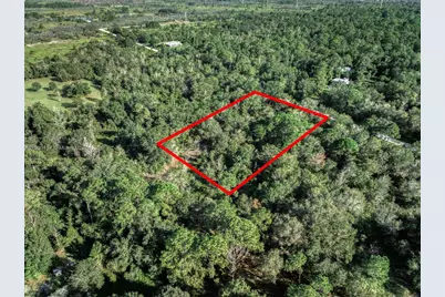 2622 W Dawson Road, Avon Park, FL 33825 - Photo 5