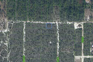 2215 Flower Terrace, Sebring, FL 33875 - Photo 1