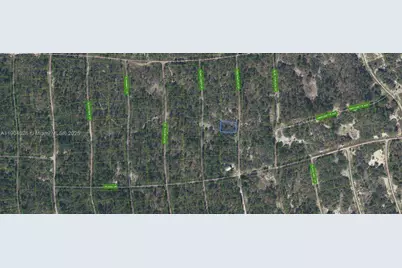 252 Fascination Drive, Lake Placid, FL 33852 - Photo 1