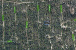 252 Fascination Dr, Lake Placid, FL 33852 - Photo 1