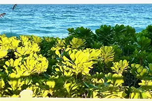 1936 S Ocean Dr, Hallandale Beach, FL 33009 - Photo 5