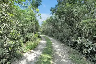 23051 SW 153rd Ct, Miami, FL 33170 - Photo 31