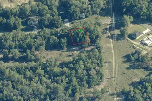 11222 N Terra Cotta Dr, Citrus Springs, FL 34434 - Photo 1