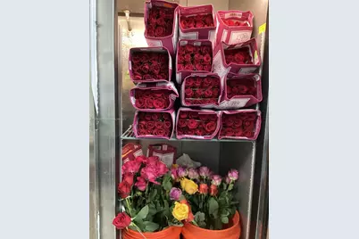 [Address not provided], Miami, FL 33125 - Photo 1