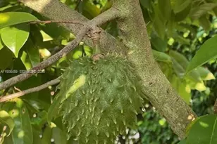 1894 Aspen Ln, Weston, FL 33327 - Photo 73