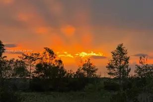 1894 Aspen Ln, Weston, FL 33327 - Photo 85