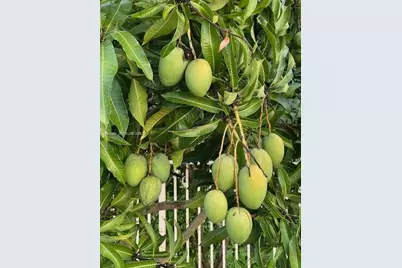 1894 Aspen Ln, Weston, FL 33327 - Photo 79