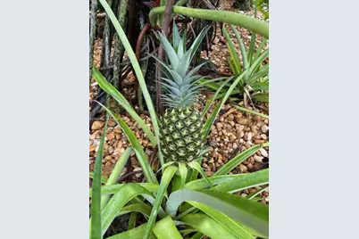 1894 Aspen Ln, Weston, FL 33327 - Photo 81