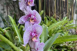 617 NE 191st St, Miami, FL 33179 - Photo 87