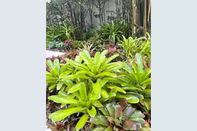 617 NE 191st St, Miami, FL 33179 - Photo 83