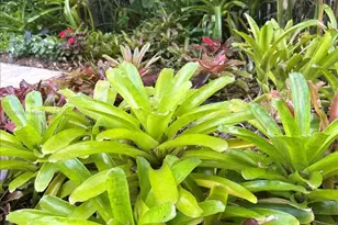 617 NE 191st St, Miami, FL 33179 - Photo 83