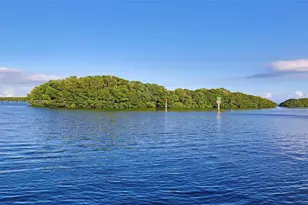 5950 Paradise Point Dr, Palmetto Bay, FL 33157 - Photo 35