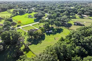 9812 SW 74th Ave, Ocala, FL 34476 - Photo 55