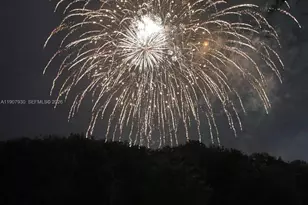 4222 SW 87th Terrace, Davie, FL 33328 - Photo 77