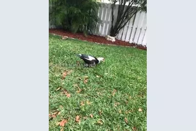 1654 Salerno Cir #1654, Weston, FL 33327 - Photo 15