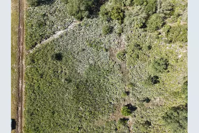 15527 NW 252nd, Okeechobee, FL 34972 - Photo 3