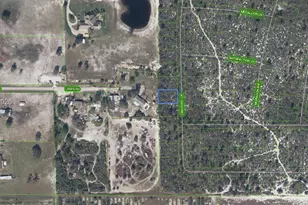 541 Carousel Ln, Lake Placid, FL 33852 - Photo 1