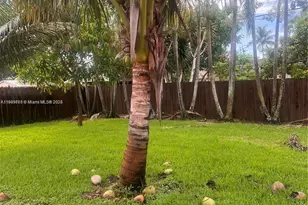 7100 Park St, Hollywood, FL 33024 - Photo 21