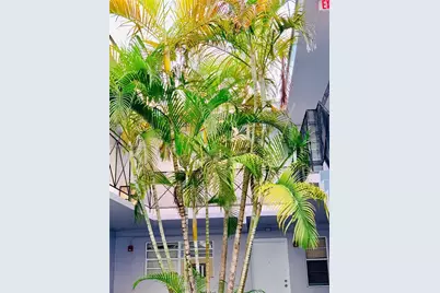 [Address not provided], North Miami Beach, FL 33162 - Photo 3