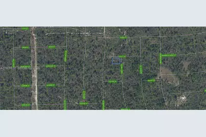 305 Dolly Lane, Lake Placid, FL 33852 - Photo 1