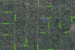 305 Dolly Ln, Lake Placid, FL 33852 - Photo 1