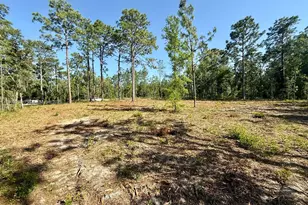 0 NW 157th Ave, Williston, FL 32696 - Photo 1