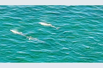 1625 Kennedy Cswy #1103B, North Bay Village, FL 33141 - Photo 43