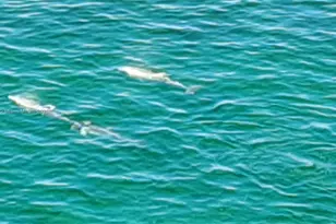 1625 Kennedy Causeway, North Bay Village, FL 33141 - Photo 43