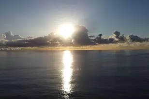 1501 Arthur St, Hollywood, FL 33020 - Photo 73