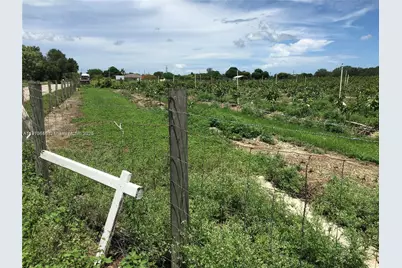 15000 SW 256 St., Homestead, FL 33032 - Photo 9