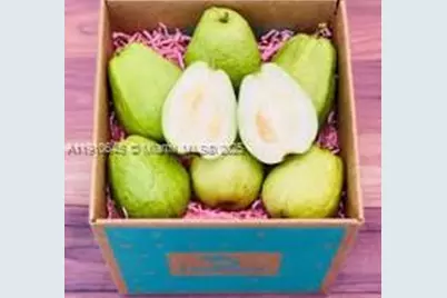 15000 SW 256 St., Homestead, FL 33032 - Photo 5