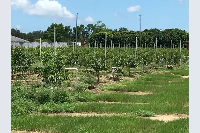 15000 SW 256 St., Homestead, FL 33032 - Photo 1