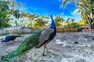 2361 SW 18th Ave, Fort Lauderdale, FL 33315 - Photo 43