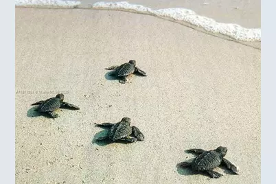 1815 Mooringline Dr #1, Vero Beach, FL 32963 - Photo 15