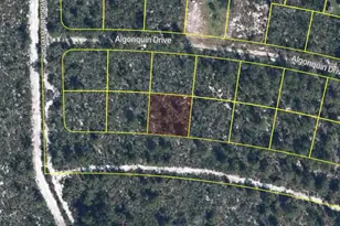 2224 Carla Ave, Sebring, FL 33875 - Photo 1