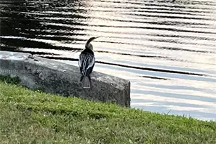 3080 N Course Dr, Pompano Beach, FL 33069 - Photo 37