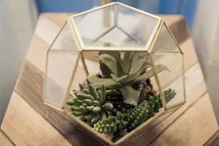 302 Balboa St, Hollywood, FL 33019 - Photo 31