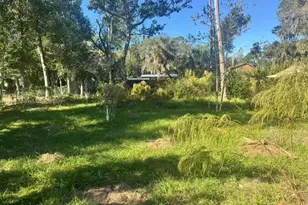 5841 Boggs Ford Rd, Port Orange, FL 32127 - Photo 31