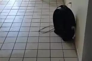 [Address not provided], Miami, FL 33161 - Photo 3