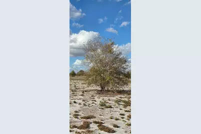 16525 NW 260 St, Okeechobee, FL 34972 - Photo 3