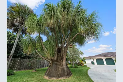 19425 SW 312th St, Homestead, FL 33030 - Photo 11