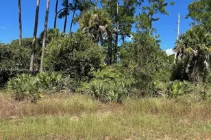 675 Nassau Cir, Labelle, FL 33935 - Photo 1