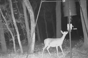 6169 County Rd 209 S, Other City - In The State Of Florida, FL 32043 - Photo 19