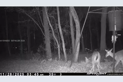 6169 County Road 209 S, Other City - In The State Of Florida, FL 32043 - Photo 23