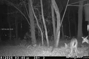 6169 County Rd 209 S, Other City - In The State Of Florida, FL 32043 - Photo 23