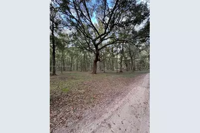 6169 County Road 209 S, Other City - In The State Of Florida, FL 32043 - Photo 5