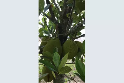 340 SW 217  Ave, Homestead, FL 33034 - Photo 7